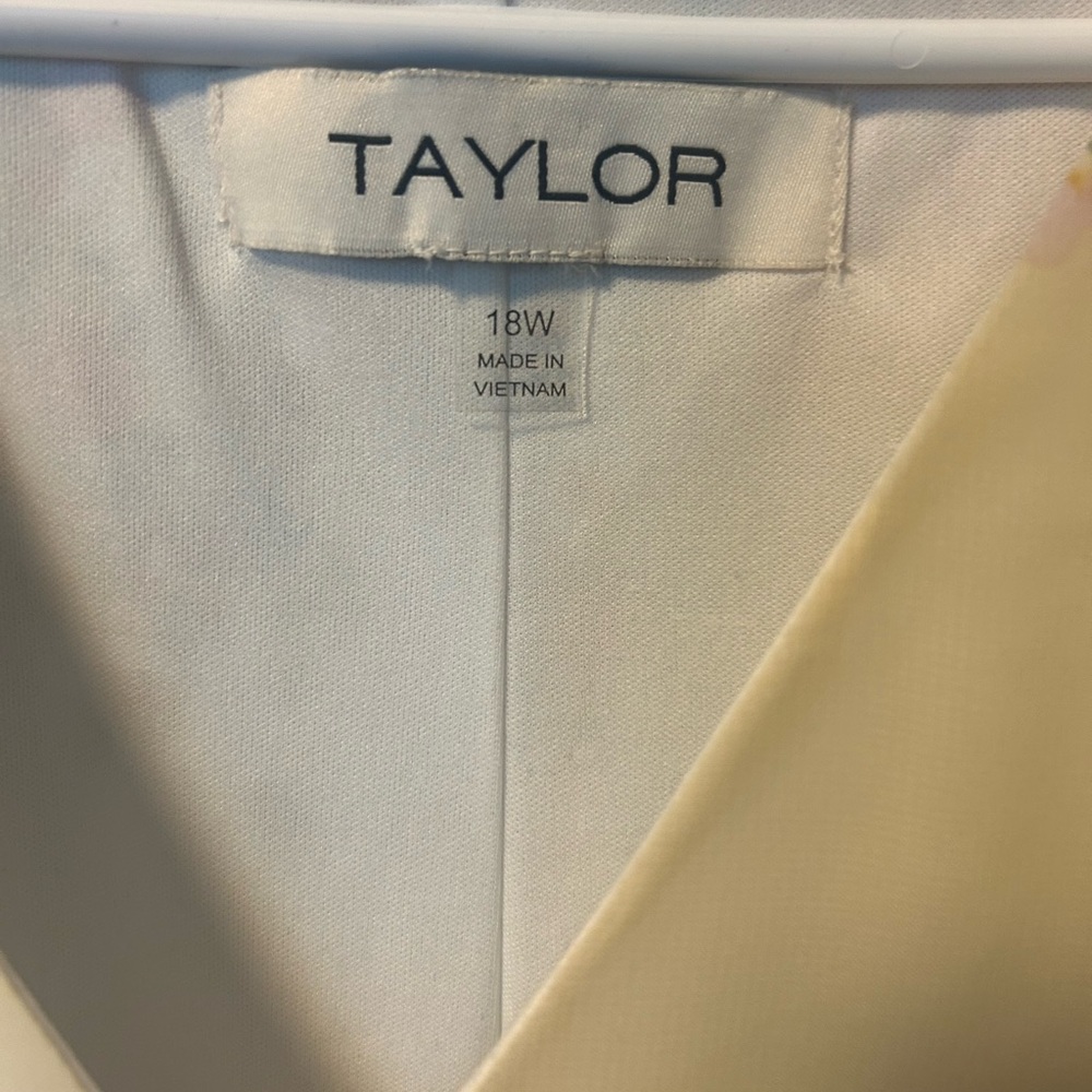 Taylor Cream V-Neck Blouse - Picture 2 of 2